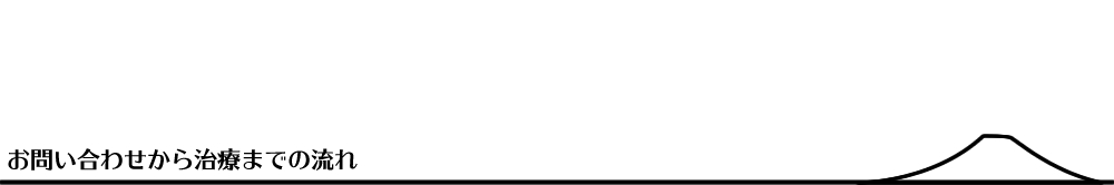 ���⍇������C���ł̎��Â܂ł̗���^�C�g��